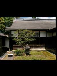 国宝・瑞龍寺で心洗われるひとときを✨富山・高岡の静寂旅