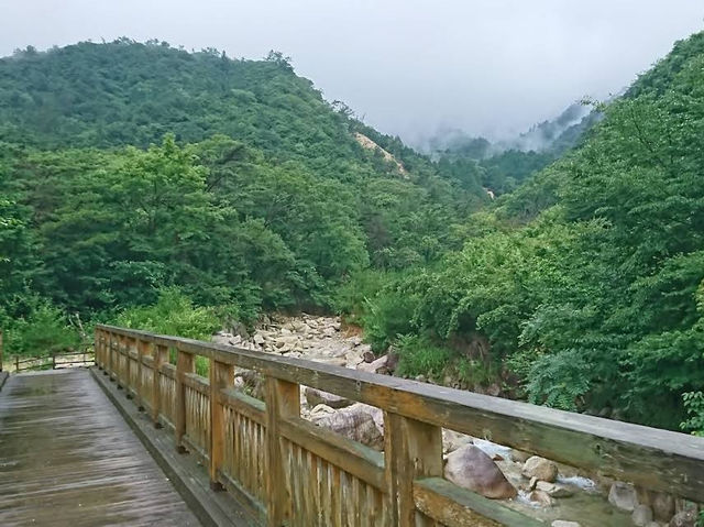 Asakechaya Camping 