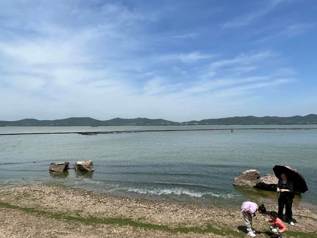 🌿 Yuantouzhu 鼋头渚 — A Peaceful Summer Escape by Taihu Lake