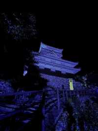 【絶景と歴史の融合】岐阜城から望む金華山のパノラマビュー