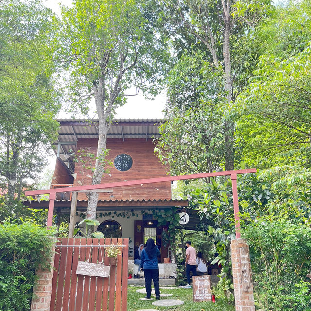 Coffee shelter 