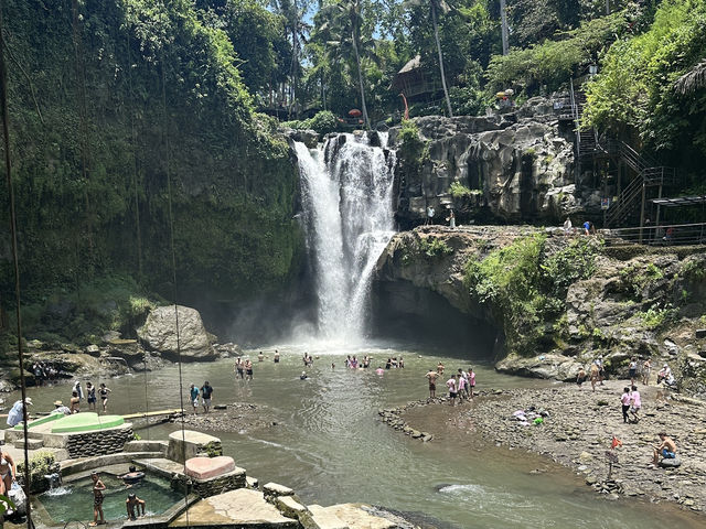 🌅 Bali Ubud 日出火山梯田一日遊 🌾