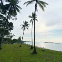 Breezy Escapes at Pasir Ris Beach 🇸🇬