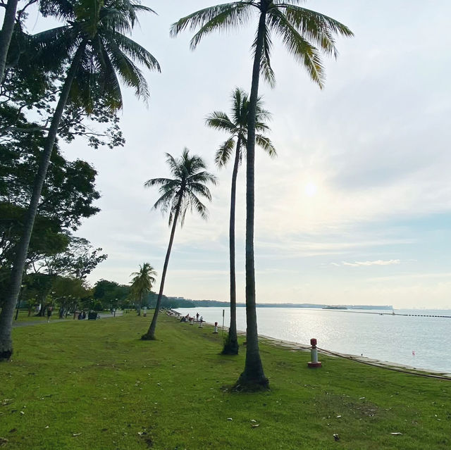 Breezy Escapes at Pasir Ris Beach 🇸🇬