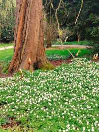 Harris Garden