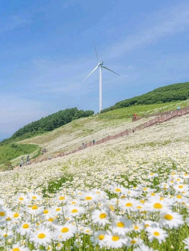 Naksan Park