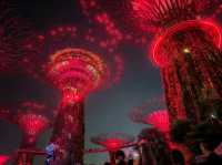 Garden by the Bay Lightshow 