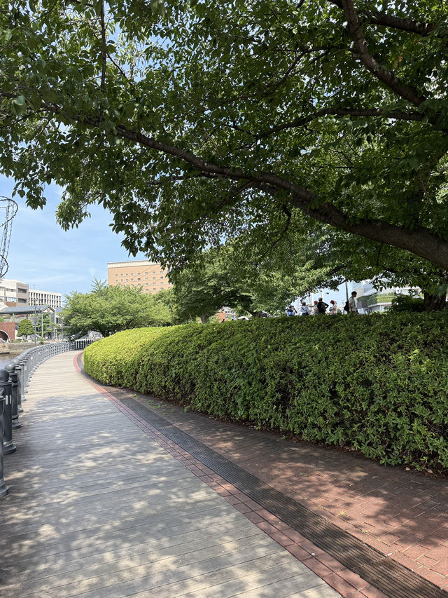 みなとみらいの癒しスポット🌳公園の中のビューポイントでのんびりしよう✨