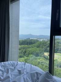 부산>강릉-양양 취향껏 다녀온 1박 2일 속성코스