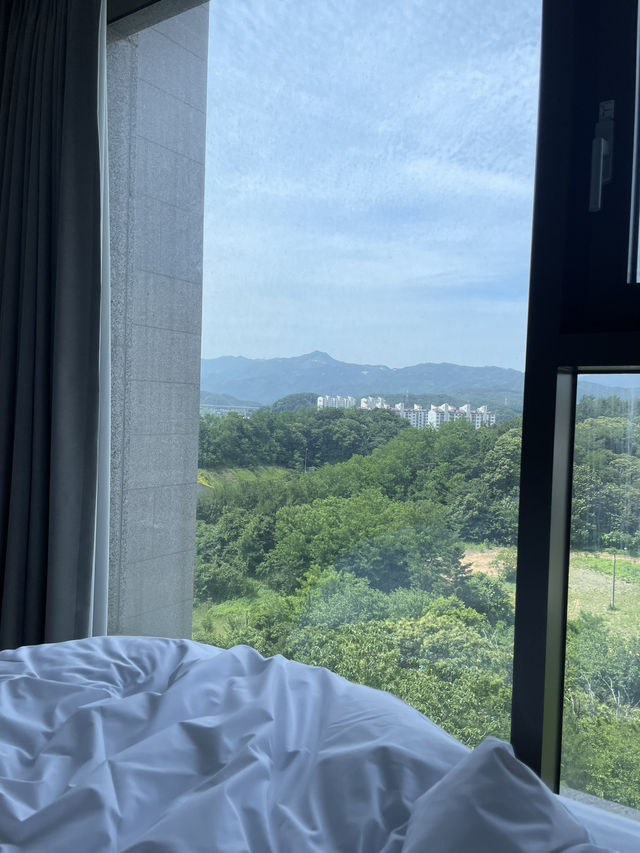 부산>강릉-양양 취향껏 다녀온 1박 2일 속성코스
