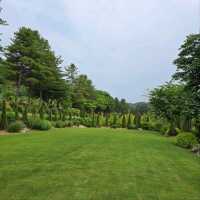 The Stay Healing Park