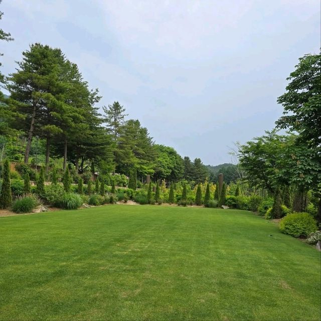 The Stay Healing Park