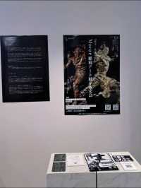 入場無料！北斗の拳のトキ、シュウの彫刻アートが間近で楽しめる展示🫣💓【東京・表参道】