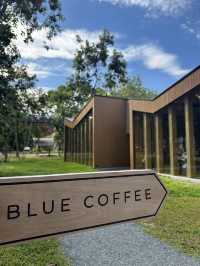 คาเฟ่ในรั้วมช. •Blue coffee at Agriculture CMU•