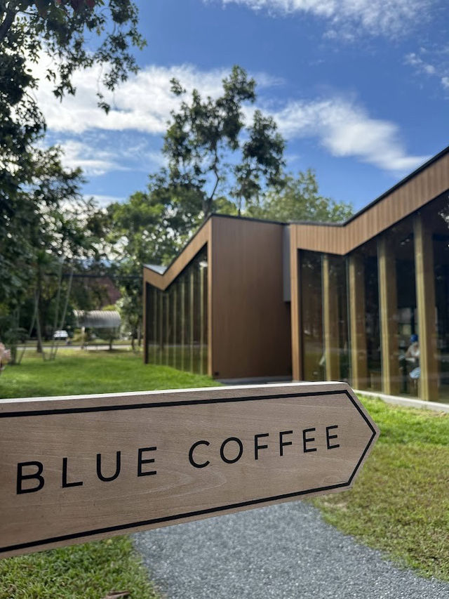 คาเฟ่ในรั้วมช. •Blue coffee at Agriculture CMU•