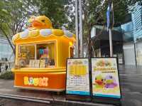 深圳有小黃鴨樂園，超可愛鴨鴨，睇得又玩得