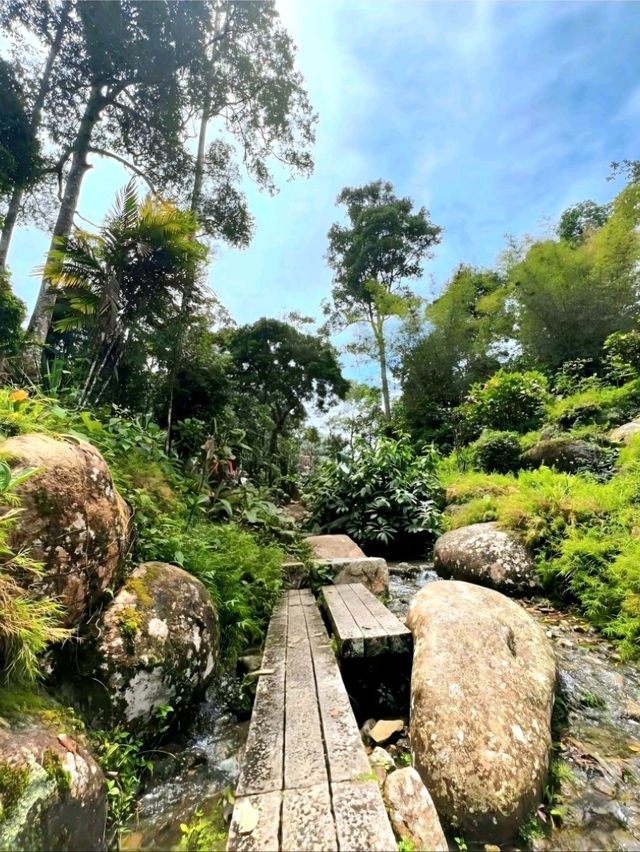 A Touch of Japan in Bukit Tinggi Malaysia