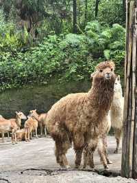 A Perfect Blend of Nature and Wildlife