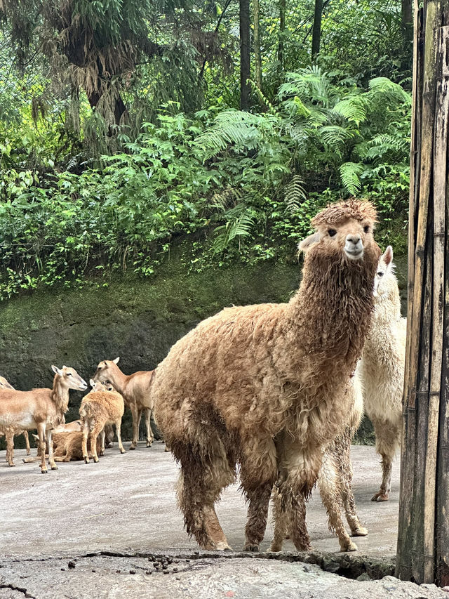A Perfect Blend of Nature and Wildlife