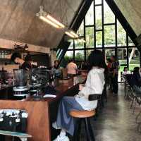 ✨🌱DAYDREAMING CAFE KHAOYAI 