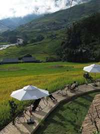 Sapa