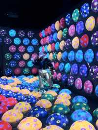 Teamlab Forest | Fukuoka