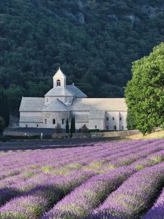 🇫🇷 Summer in Provence – Dreamy Hilltop Town of Gordes 🏰🌿