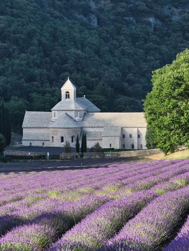 🇫🇷 Summer in Provence – Dreamy Hilltop Town of Gordes 🏰🌿