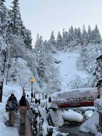 ❄️藏在雪國的白銀秘境｜山形銀山溫泉・白銀瀑布