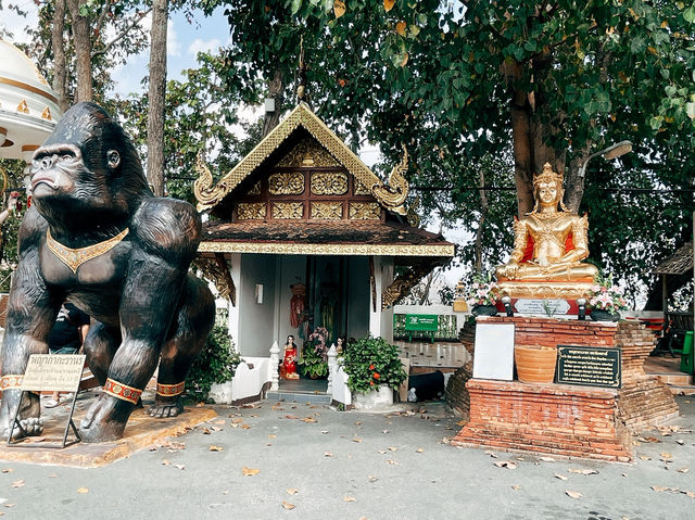 วัดพระธาตุดอยคำ