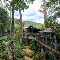 Living the Jungle Dream at Rock & Tree House Resort