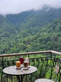 First Valley Coffee Estate | Chiangmai 