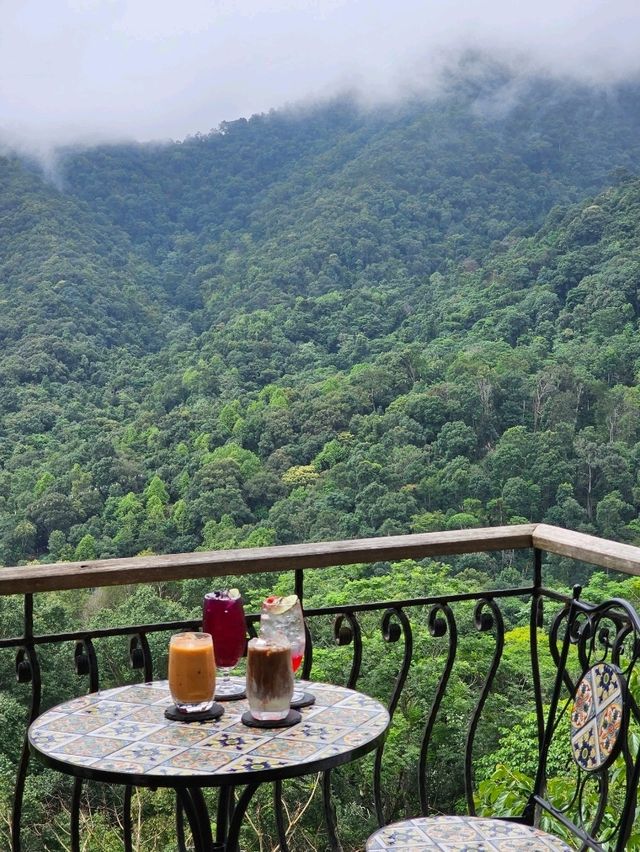 First Valley Coffee Estate | Chiangmai 