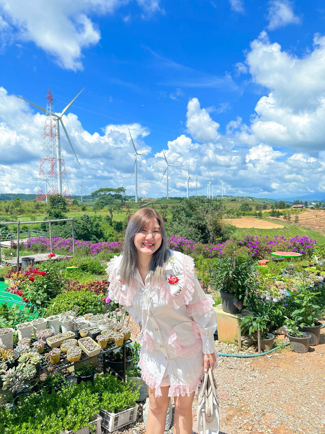 ที่เที่ยวเขาค้อสุดฮิตทุกคนต้องแวะ🍃