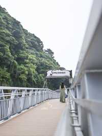 まるでジブリ！東京湾最大の無人島『猿島』🏝️