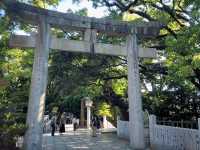 Path of Light: A Visit to Miyajidake Shrine