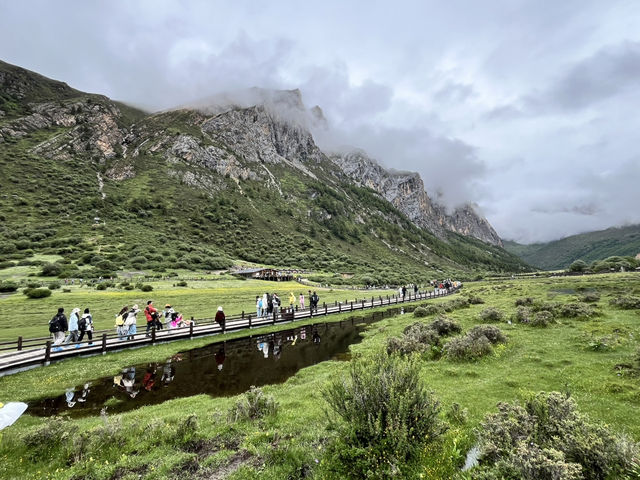 🗻 Surviving Summer in the Sky: My Daocheng Yading Travel Tips! 🗻