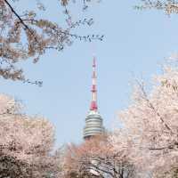 Namsan Seoul Tower 🗼🌆