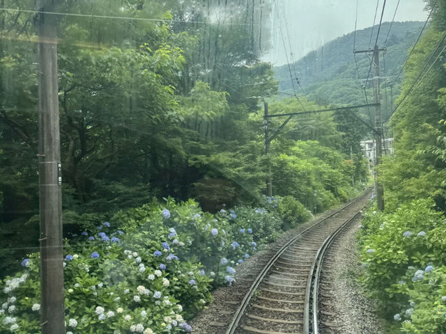 Hakone: More Than Just a Torii, a Summer Escape! Hakone Hakone 🏞️