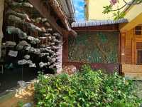 Exploring Gano Farm: A Wonderful World of Mushrooms