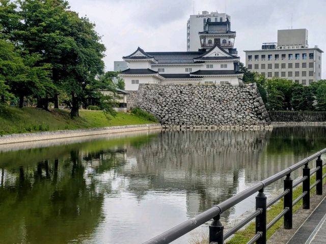 富山 | 富山城&城跡公園，瞭解富山鄉土歷史的好去處