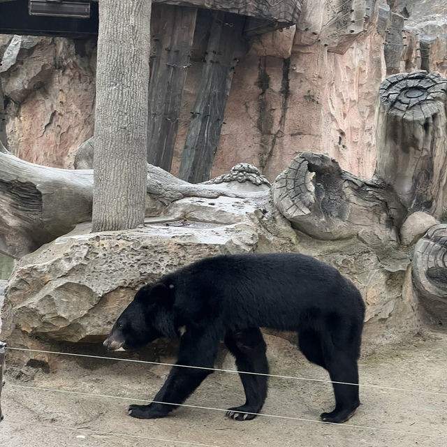 Shanghai Wild Animal Park