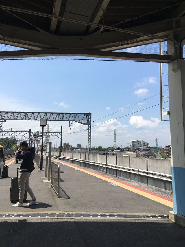 다녀오면 살찌는 TOKYO TRIP 