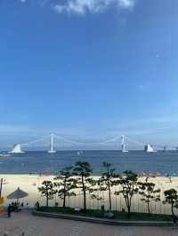 Summer vibes in Busan