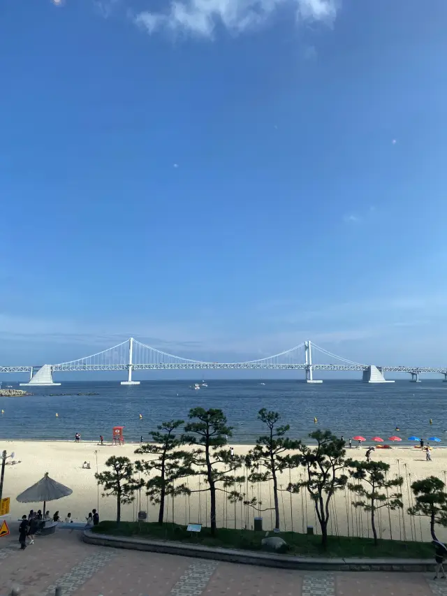 Summer vibes in Busan