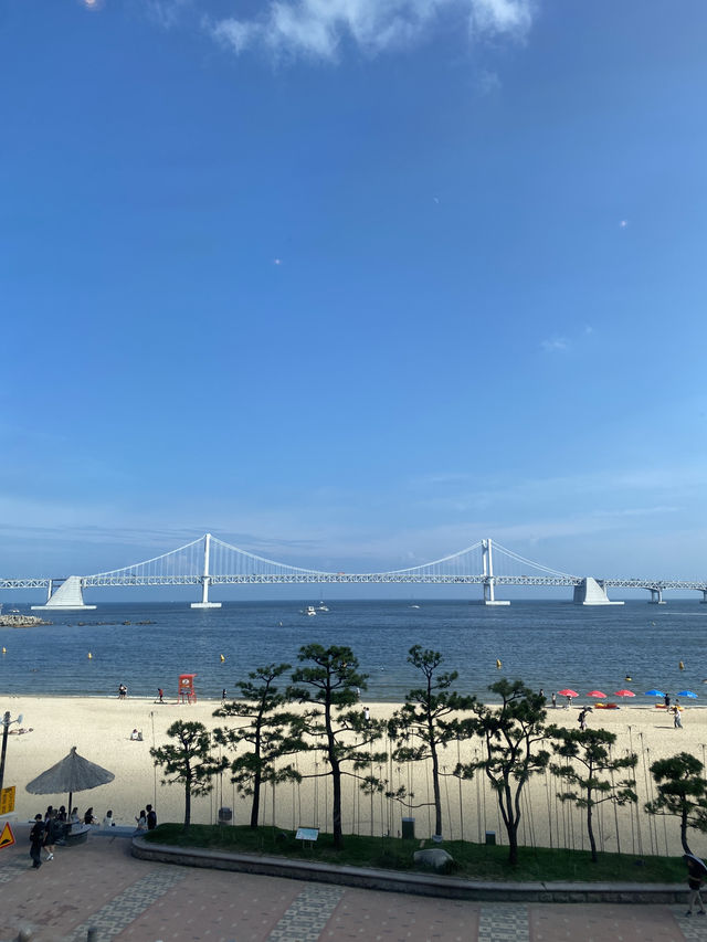 Summer vibes in Busan