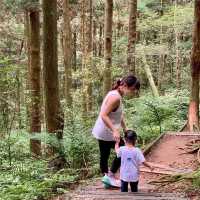 親子友善森林步道｜桃園復興東眼山