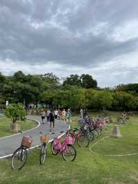 Chatuchak Park สวนจตุจักร