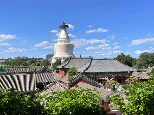“The Imperial Garden Dream — Summer Palace”