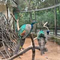 【中国/青島動物園】